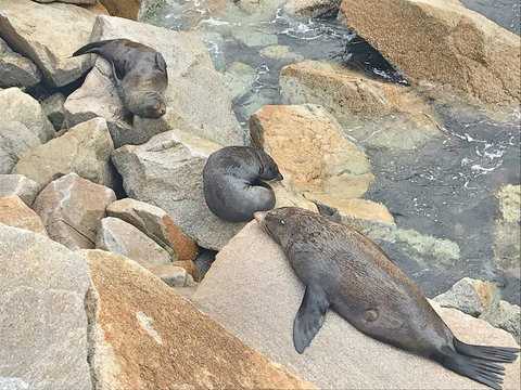 Penthouse On The Promenade - Accommodation Perth 17