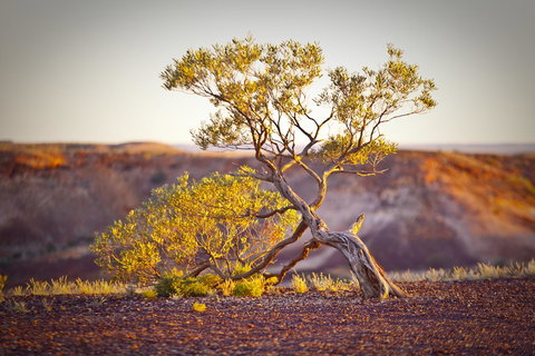 The Lookout Cave Underground Motel - Perth Resorts 22