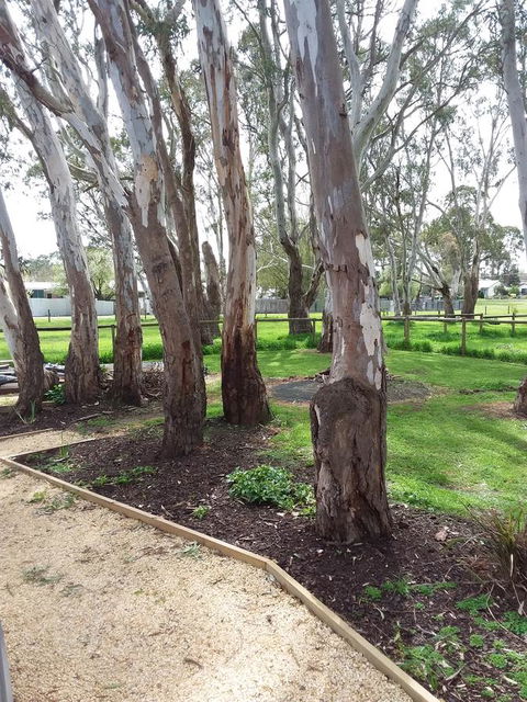 Cloisters Of Kalangadoo - Accommodation Perth 6