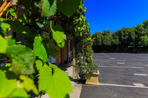 Country Roads Motor Inn Naracoorte - Accommodation Perth 16