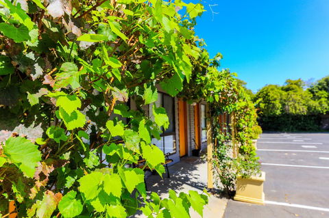 Country Roads Motor Inn Naracoorte - Accommodation Perth 18