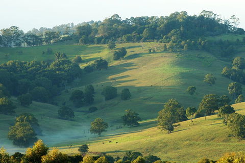 SummerHills Retreat Byron Bay - Accommodation Perth 20