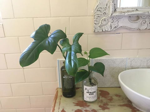 Yallaroo Cottage - Accommodation Perth 13