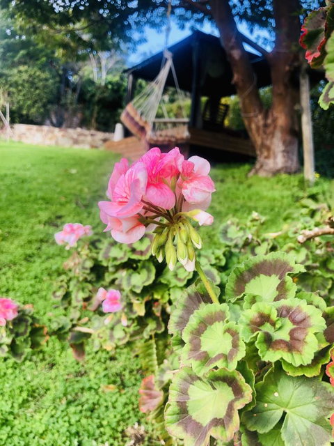 Stunning House With Beautiful Entertainment Area!! - Perth Resorts 17