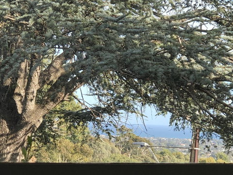 Stunning House With Beautiful Entertainment Area!! - Perth Resorts 8