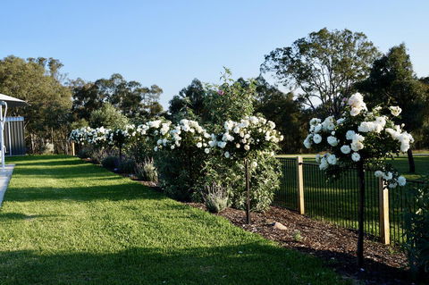 Beltana Villas - Accommodation Perth 2