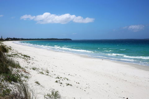 Wildwood I Pet Friendly I 5 Mins To Beach - Accommodation Perth 14