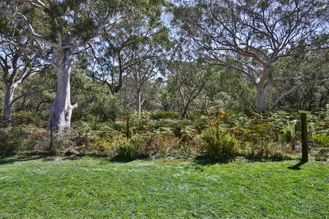 Wildwood I Pet Friendly I 5 Mins To Beach - Accommodation Perth 17