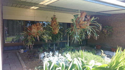 Hilltop Escape - Accommodation Perth 11