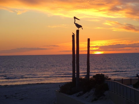 Aurora Holiday Apartment @West Beach - Accommodation Perth 12