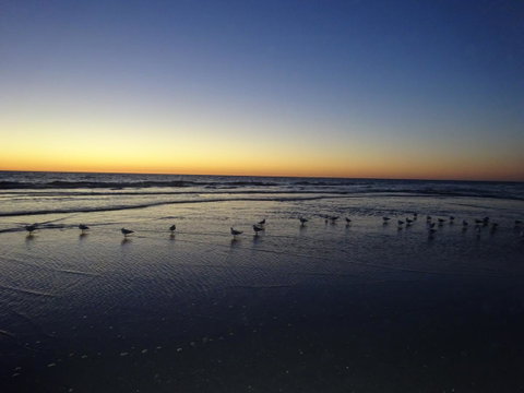 Aurora Holiday Apartment @West Beach - Accommodation Perth 14