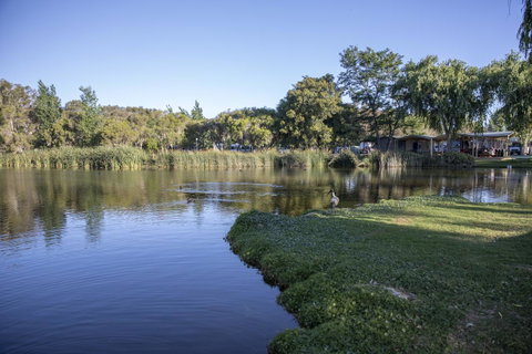 Karrinyup Waters Resort - Perth Resorts 15