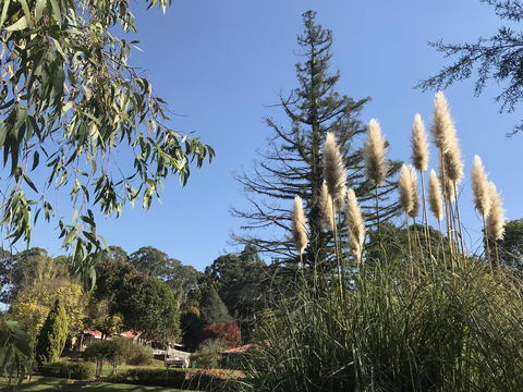 Forest Lodge Resort - Accommodation Perth 24