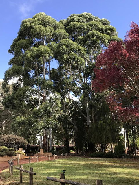 Forest Lodge Resort - Accommodation Perth 15
