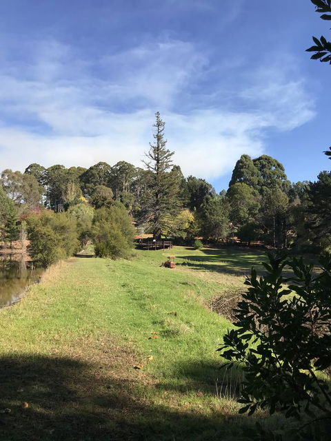 Forest Lodge Resort - Accommodation Perth 31