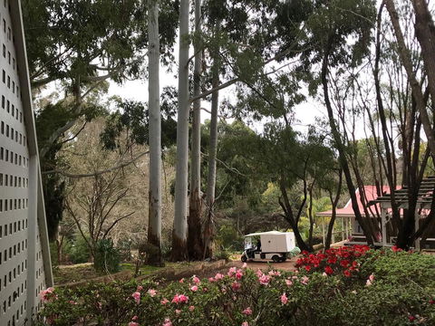 Forest Lodge Resort - Accommodation Perth 11