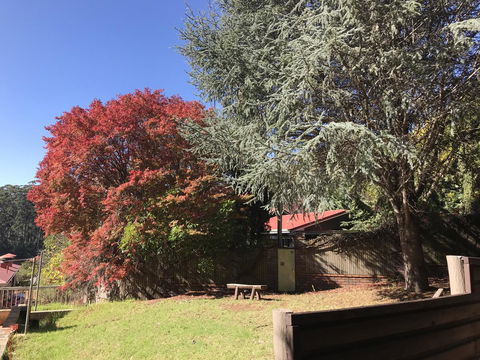 Forest Lodge Resort - Accommodation Perth 42