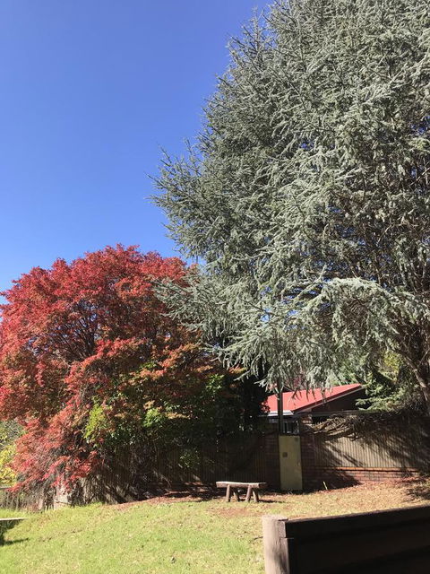 Forest Lodge Resort - Accommodation Perth 35