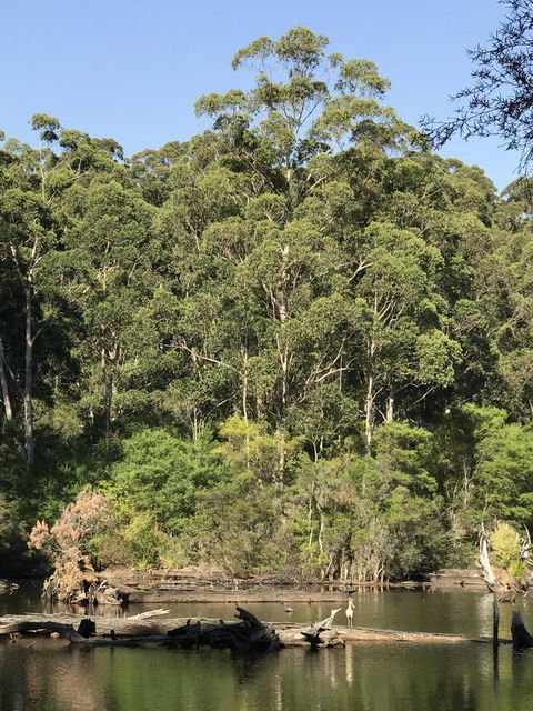 Forest Lodge Resort - Accommodation Perth 22
