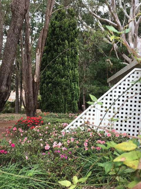 Forest Lodge Resort - Accommodation Perth 7