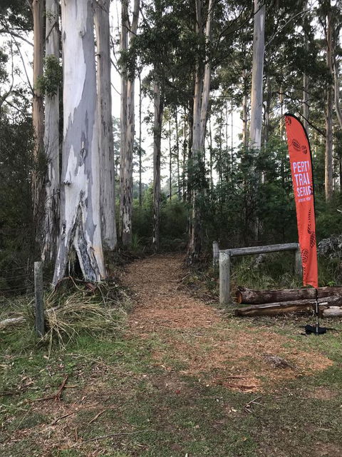 Forest Lodge Resort - Accommodation Perth 28