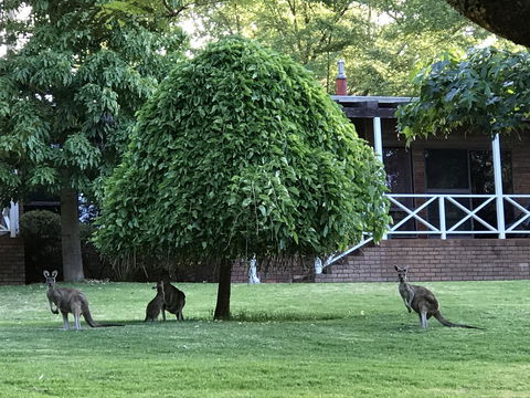 Forest Lodge Resort - Accommodation Perth 1