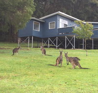 Blue House Denmark - Perth Resorts