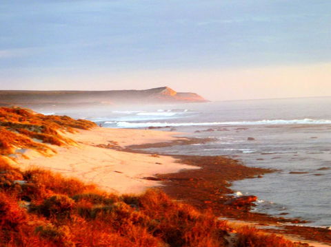Kanga Cottage - Perth Resorts 26