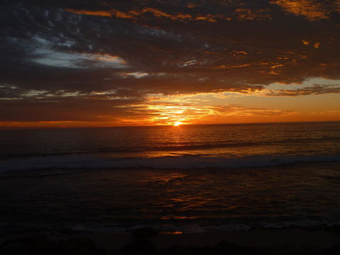 Kanga Cottage - Perth Resorts 41
