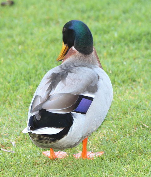 Riverview Tourist Park - Accommodation Perth 26