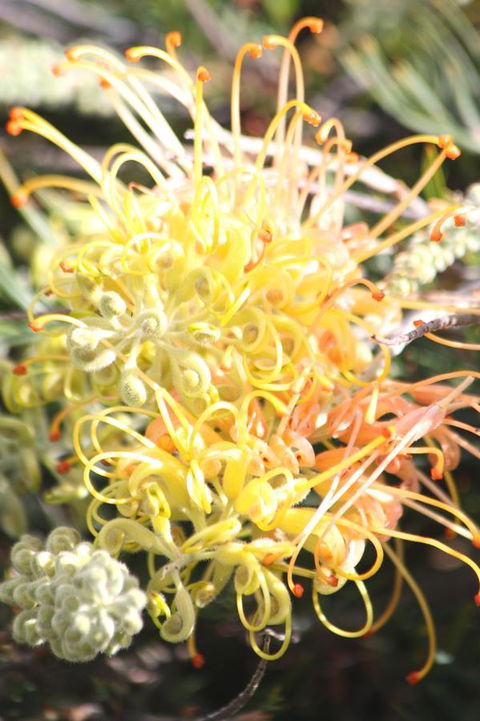 Riverview Tourist Park - Accommodation Perth 37