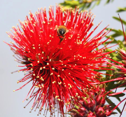 Riverview Tourist Park - Accommodation Perth 36