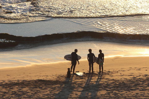 Riverview Tourist Park - Accommodation Perth 31