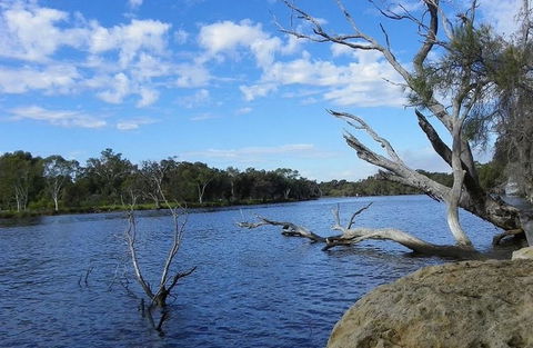 Ascot Comfort - Accommodation Perth 23