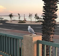 Shark Bay Seafront Apartments - Accommodation Perth