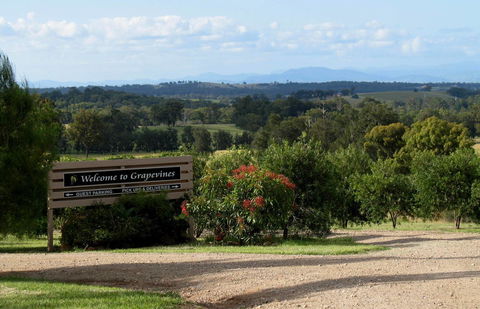 Grapevines Boutique Accommodation - Accommodation Perth 15