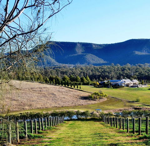 Grapevines Boutique Accommodation - Accommodation Perth 5
