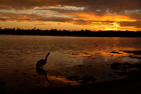 Dungowan Holiday Accommodation - Accommodation Perth 31