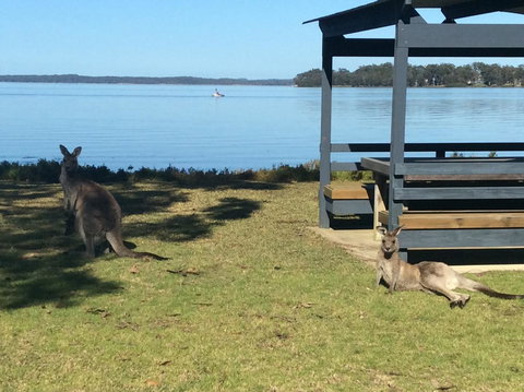 Dungowan Holiday Accommodation - Accommodation Perth 33