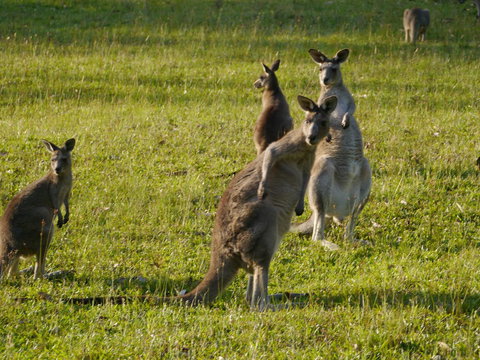 Dungowan Holiday Accommodation - Accommodation Perth 27