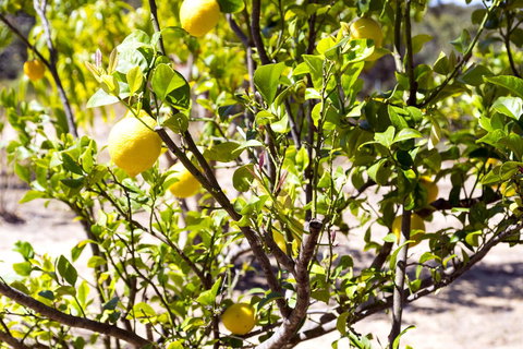 The Heights Bed & Breakfast - Accommodation Perth 17