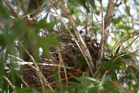 The Heights Bed & Breakfast - Accommodation Perth 7