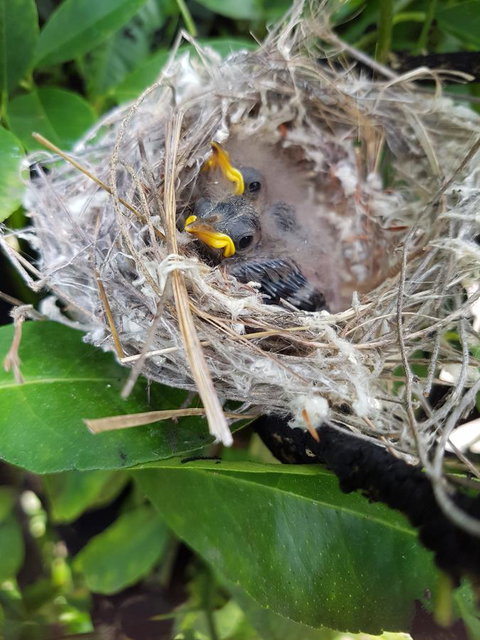 The Heights Bed & Breakfast - Accommodation Perth 2