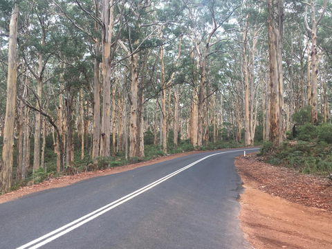 Bella Bali Gardens - Perth Resorts 29