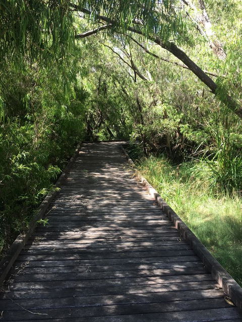 Bella Bali Gardens - Perth Resorts 36