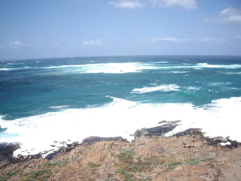 Bella Bali Gardens - Perth Resorts 30