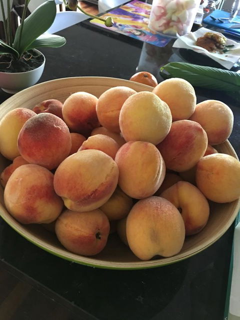 Bella Bali Gardens - Perth Resorts 27