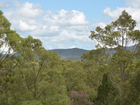 Villa Executive 2br Cypress DS Located Within Cypress Lakes Resort - Accommodation Perth 8