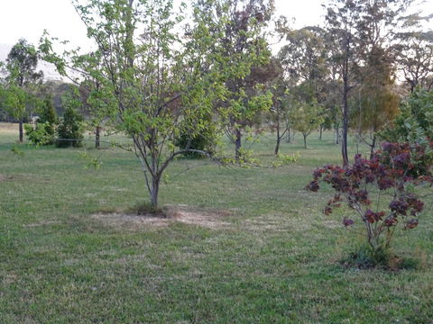 Romanz In The Valley (Luxury B&B) - Perth Resorts 32