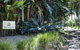Byron Hinterland Villas - thumb 10